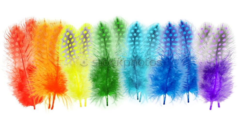 Similar – Feather decoration I Joy