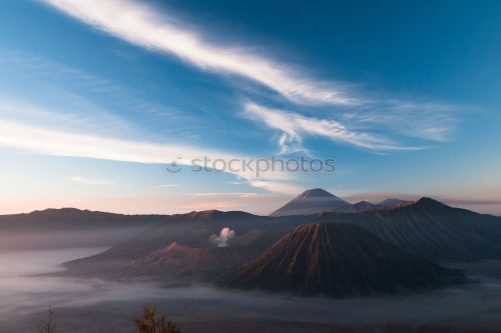 Similar – Image, Stock Photo morning glory Environment