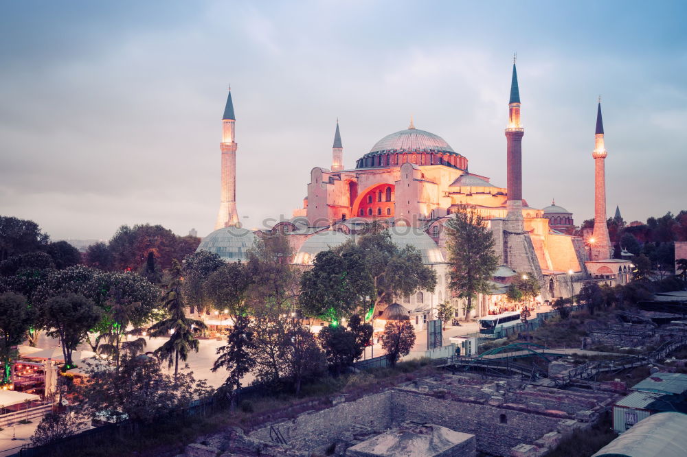 View of mosques in Istanbul II