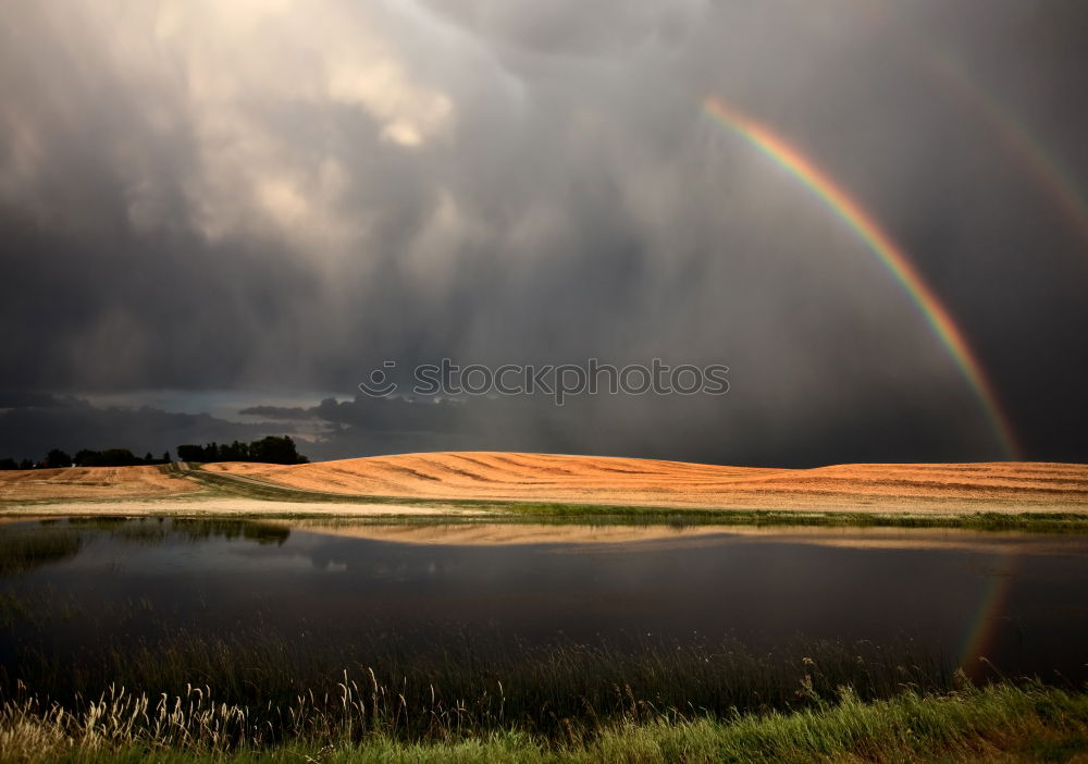 Similar – Image, Stock Photo rainbow and tree shadow on green meadow