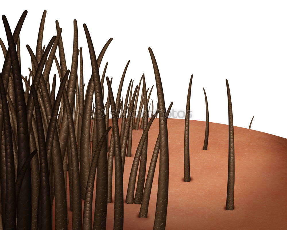Similar – Image, Stock Photo ramified Nut Palm tree