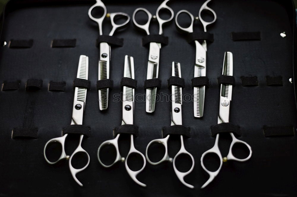 Similar – Image, Stock Photo Set of scissors and combs