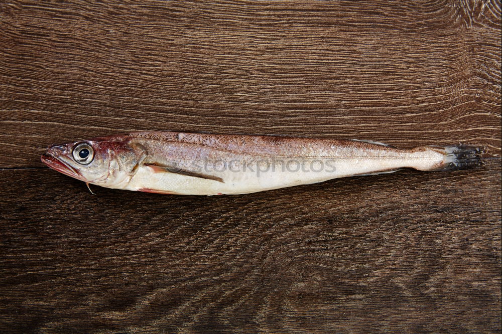 Similar – Image, Stock Photo Fish Catch Food Seafood