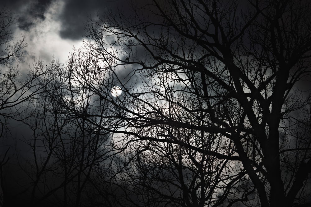 Similar – Image, Stock Photo witching hour Moon