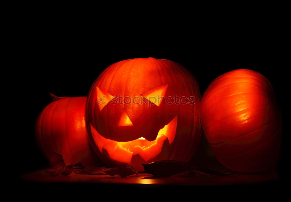 Similar – Foto Bild Helloween Kürbis Nacht