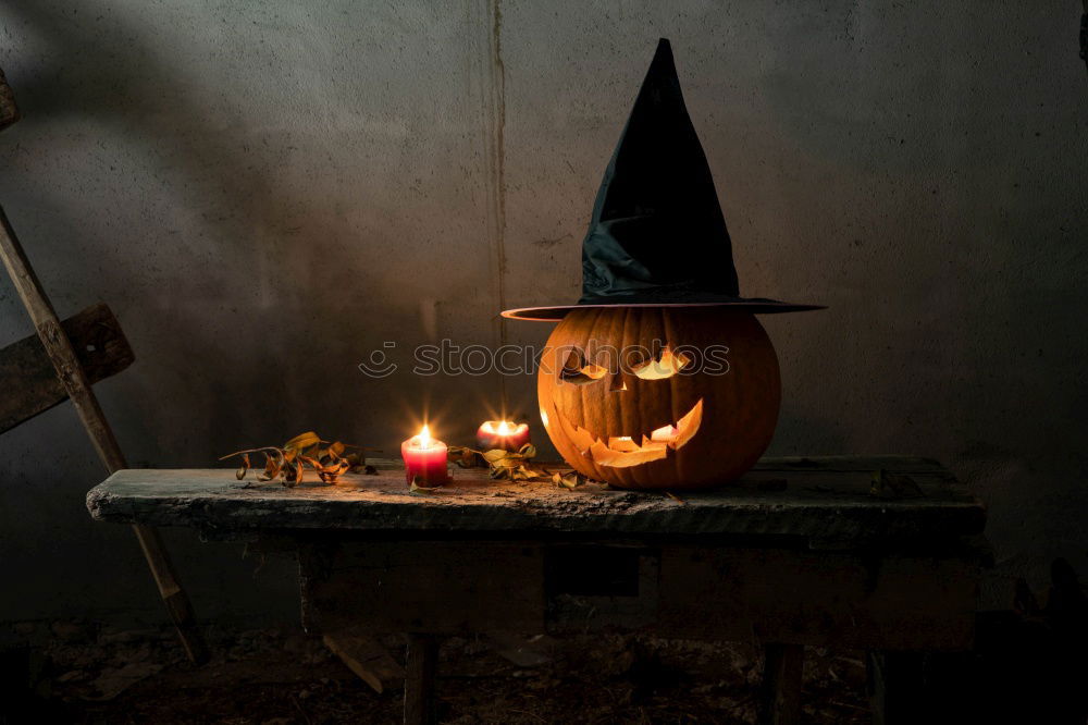 Similar – Image, Stock Photo Best Friends Pumpkin