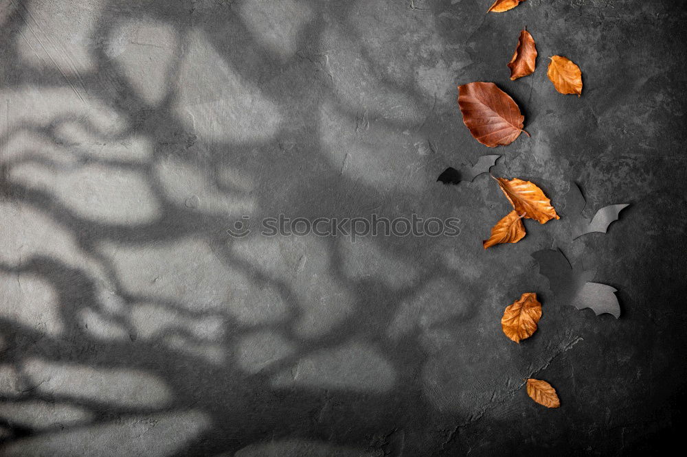 Similar – Image, Stock Photo Leaves during thunderstorms