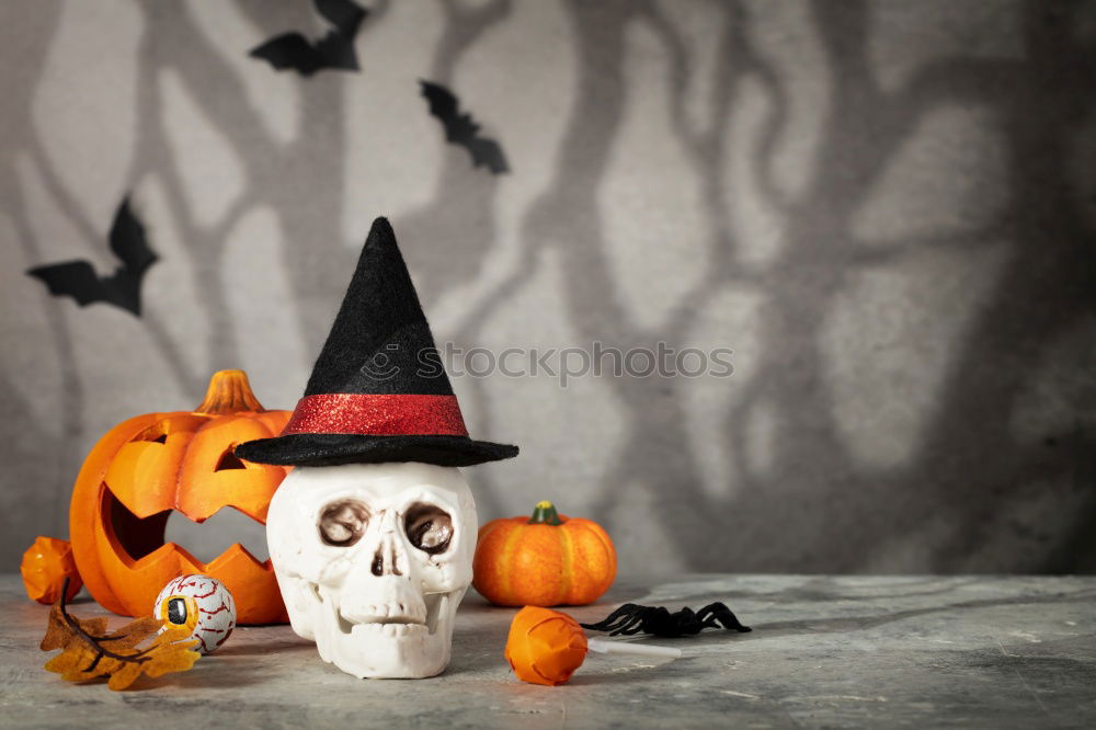 Similar – Image, Stock Photo Young boy in the Skeleton costume holding Halloween pumpkin