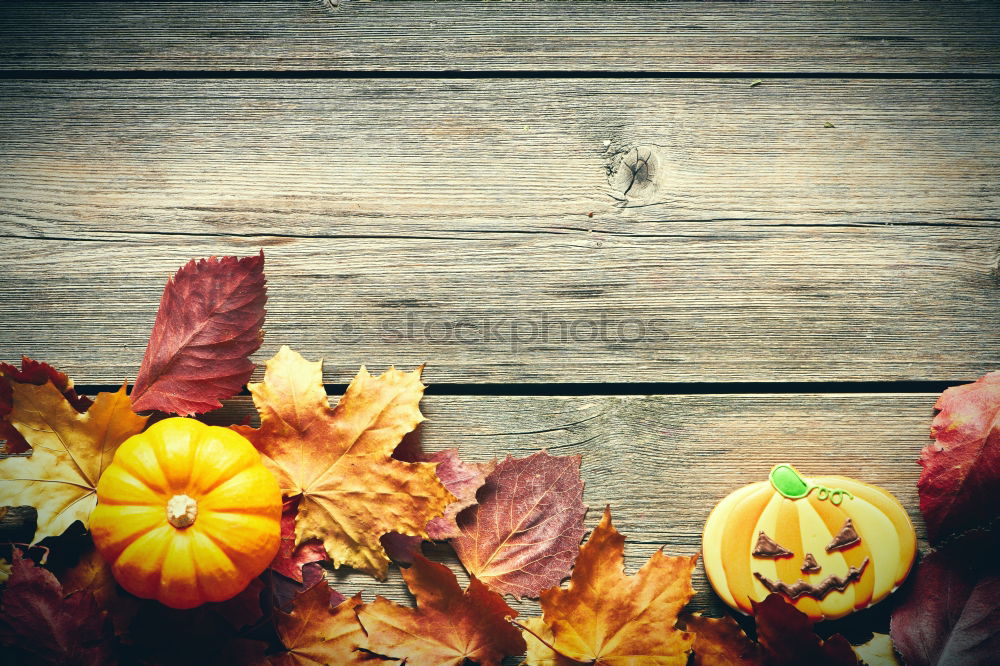 Similar – Image, Stock Photo fall at country house. Seasonal rustic decorations