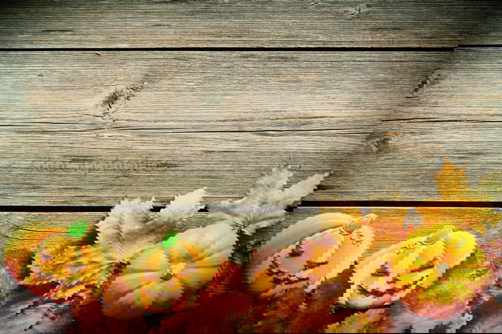 Similar – Image, Stock Photo My KÜRBIS III Food