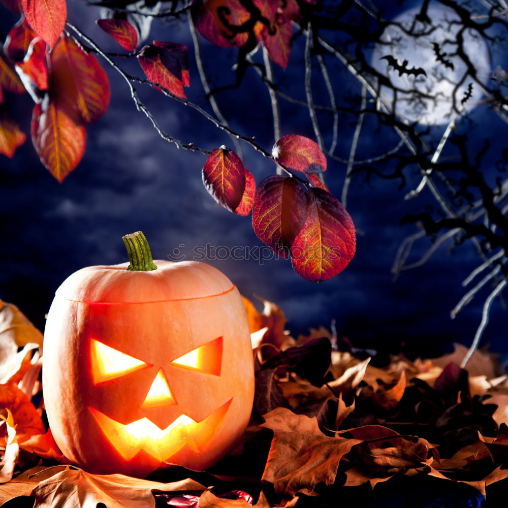 Image, Stock Photo Pumpkins in a Halloween night