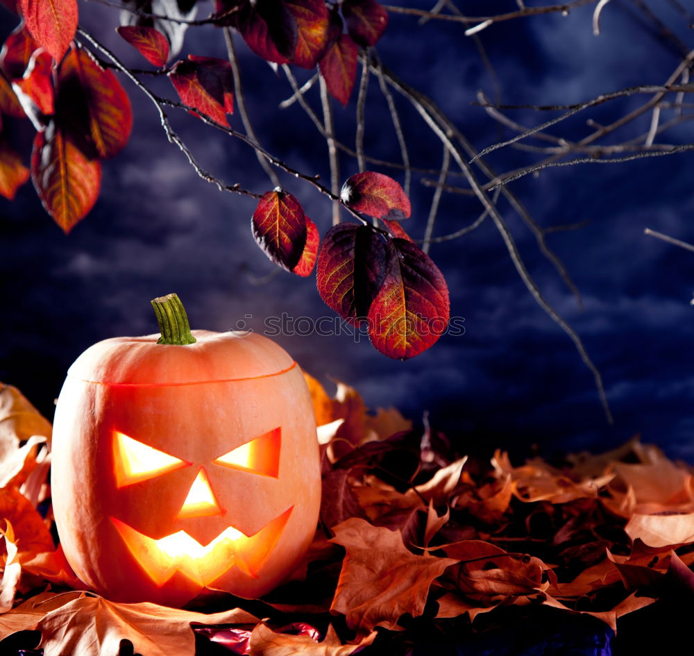 Similar – Image, Stock Photo Helloween