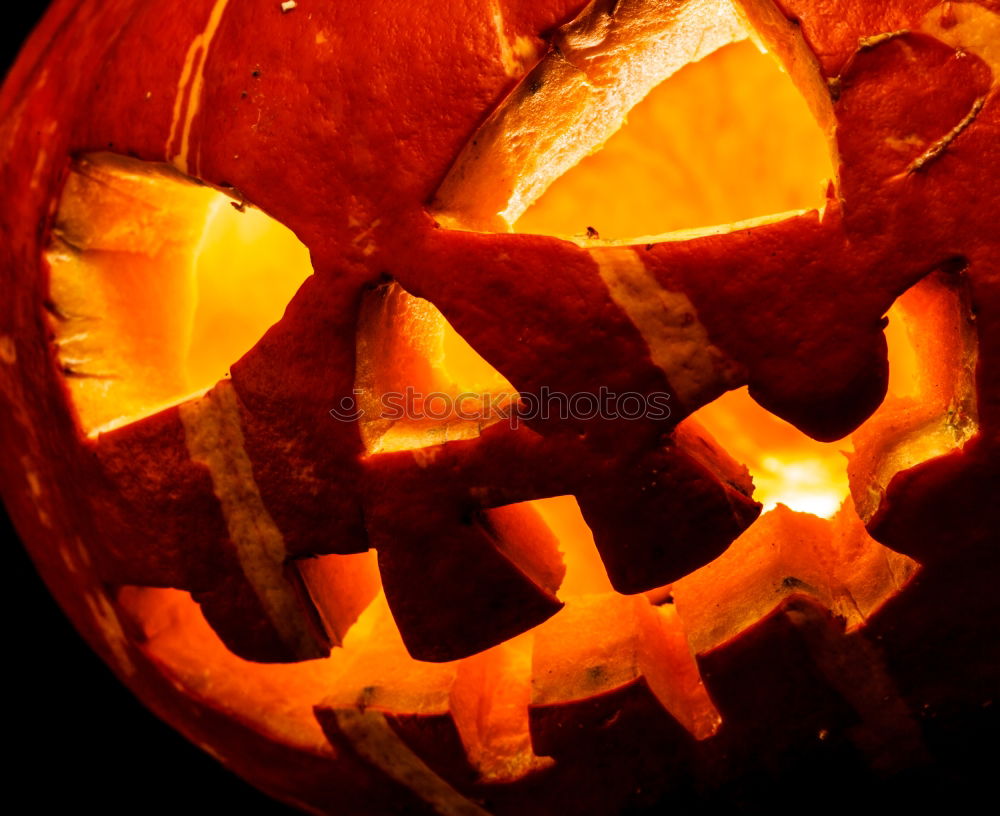 Similar – Image, Stock Photo Side view halloween pumpkin smile with fire burning eyes mouth