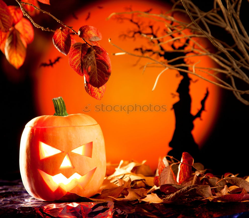 Similar – Image, Stock Photo Pumpkins in a Halloween night