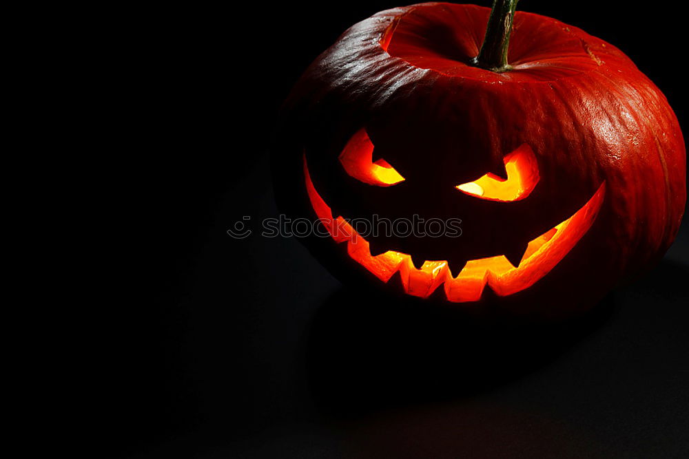 Similar – Image, Stock Photo Shining Pumpkin Face