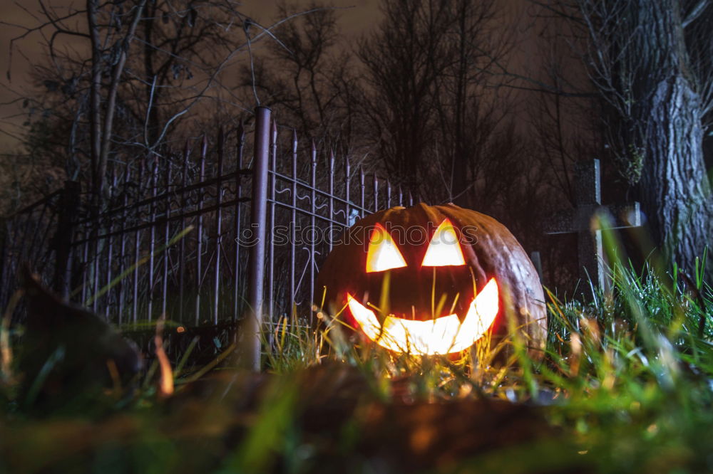 Image, Stock Photo Happy Halloween Hallowe’en