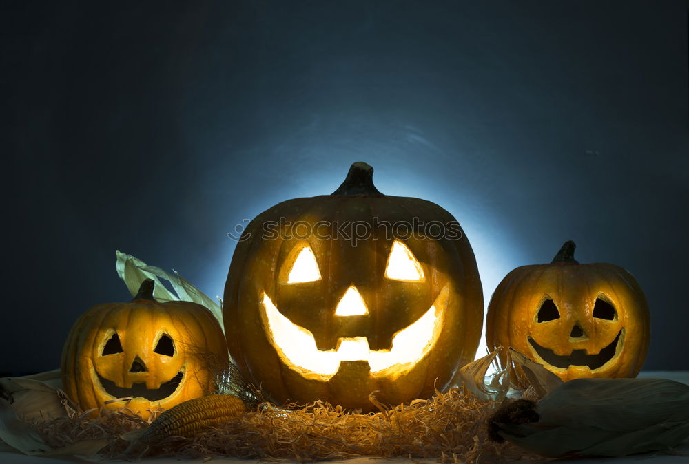 Similar – Halloween Pumpkin with Spider on Skulls