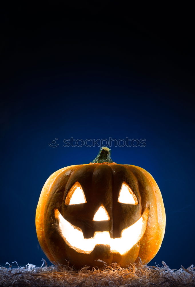 Similar – Image, Stock Photo Halloween pumpkin on wooden table