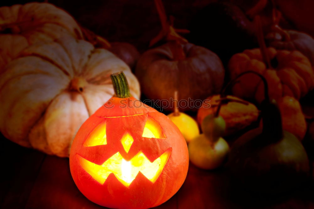 Similar – Image, Stock Photo Helloween