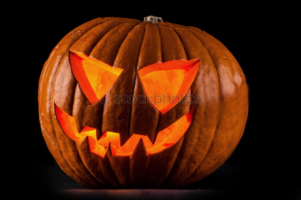 Similar – Image, Stock Photo Shining Pumpkin Face