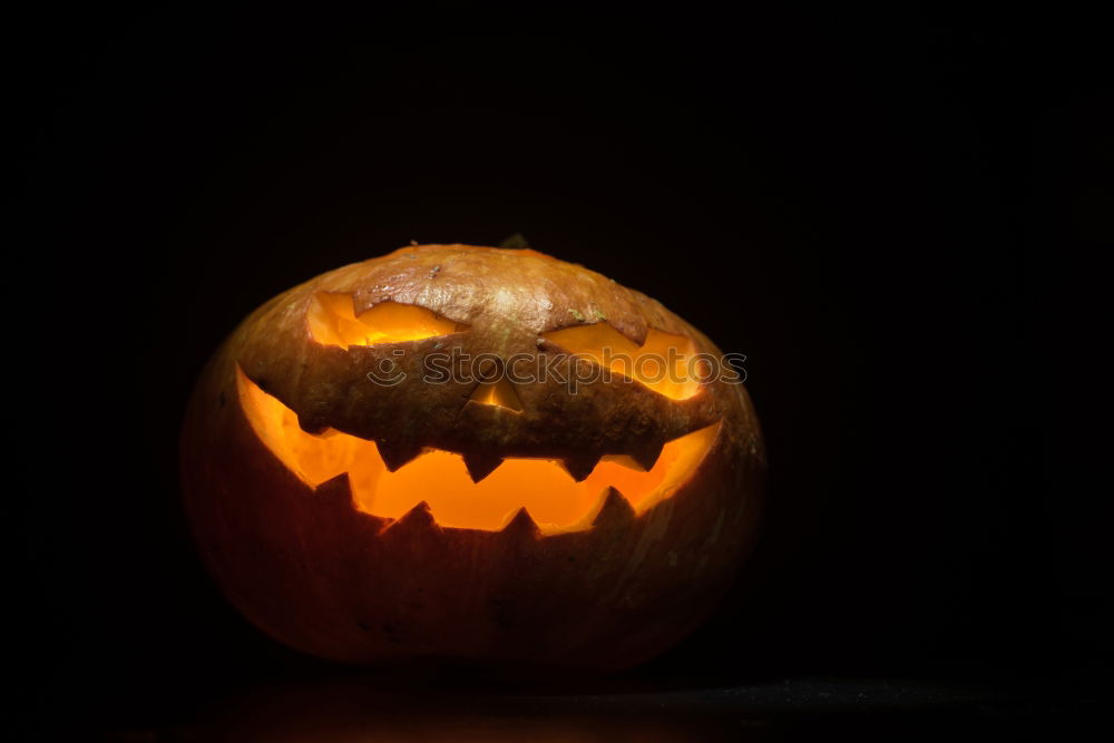 Similar – Image, Stock Photo Happy Halloween Hallowe’en