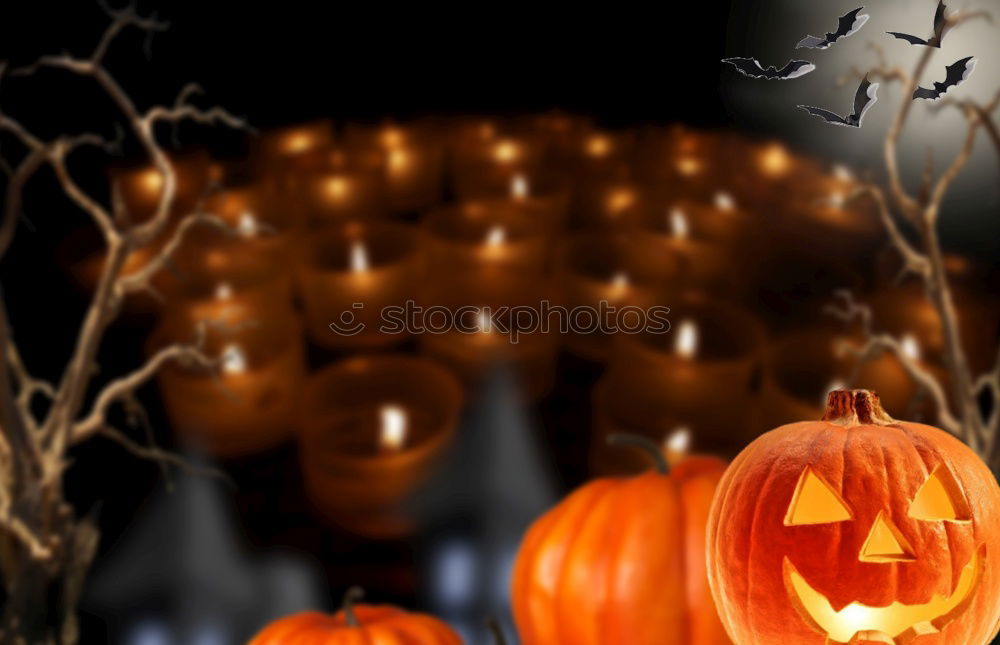 Similar – Image, Stock Photo Pumpkins in a Halloween night