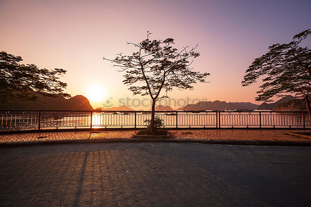 Similar – Image, Stock Photo promenade Back-light