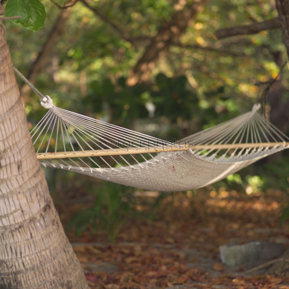 Similar – Young woman relaxing in the hammock in nature