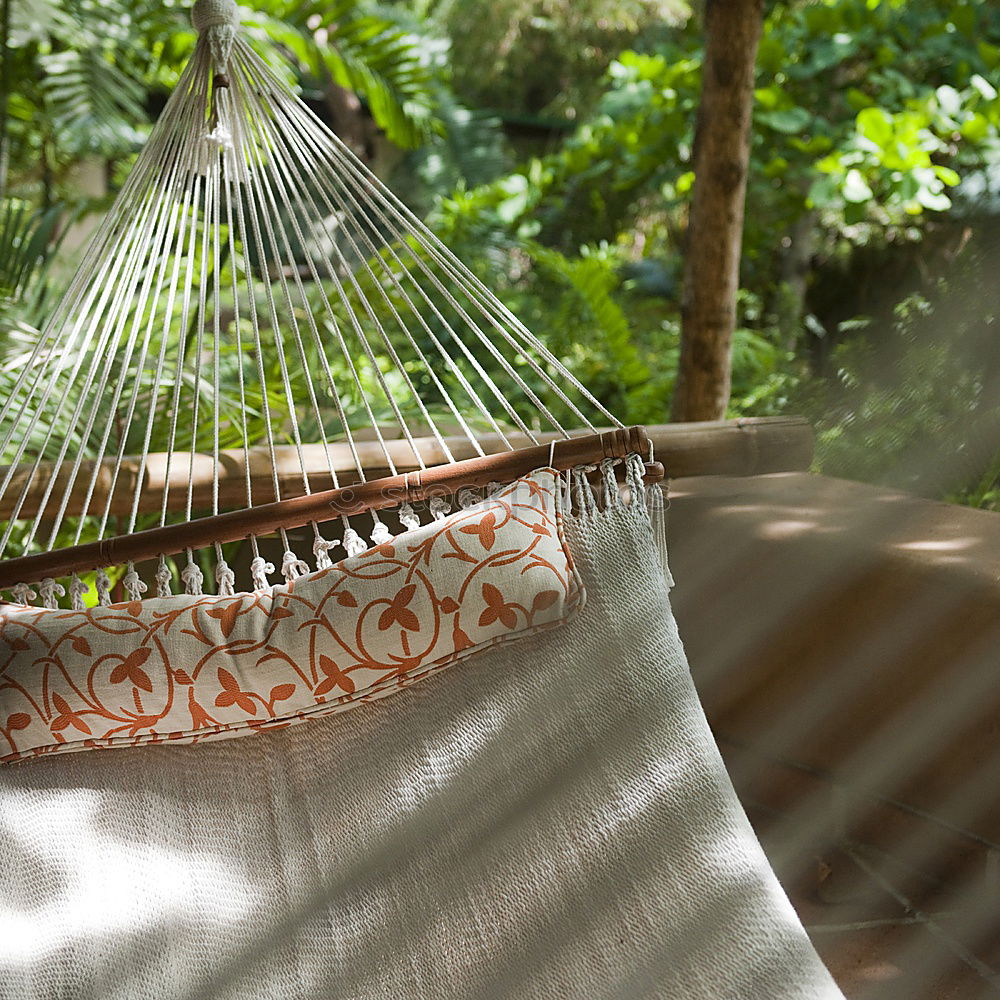 Image, Stock Photo hammock Hammock Summer