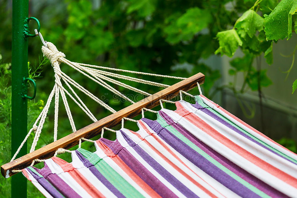 Similar – Image, Stock Photo hammock Hammock Summer