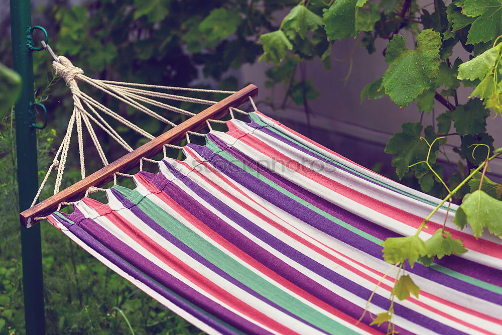 Similar – Young woman relaxing in the hammock in nature