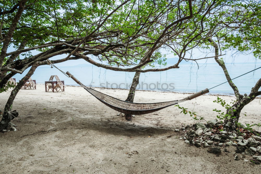 Similar – view from an hammock near ocean  beach