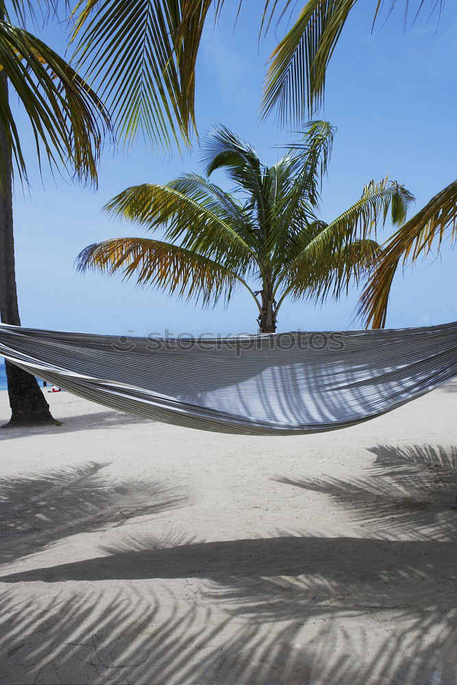 Similar – Image, Stock Photo Colourful hammock between palm trees