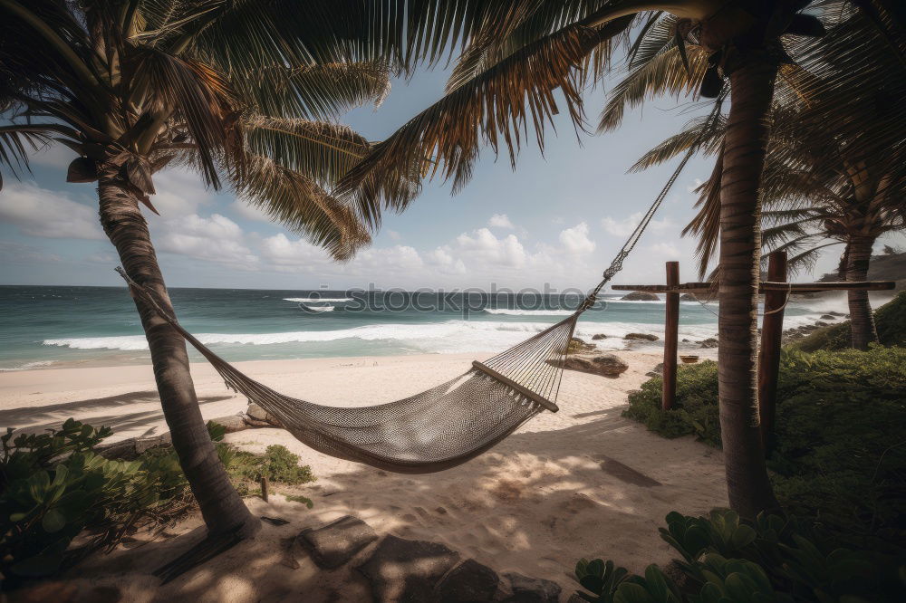 Similar – Maldives island luxury resort palm tree with hanging hammock