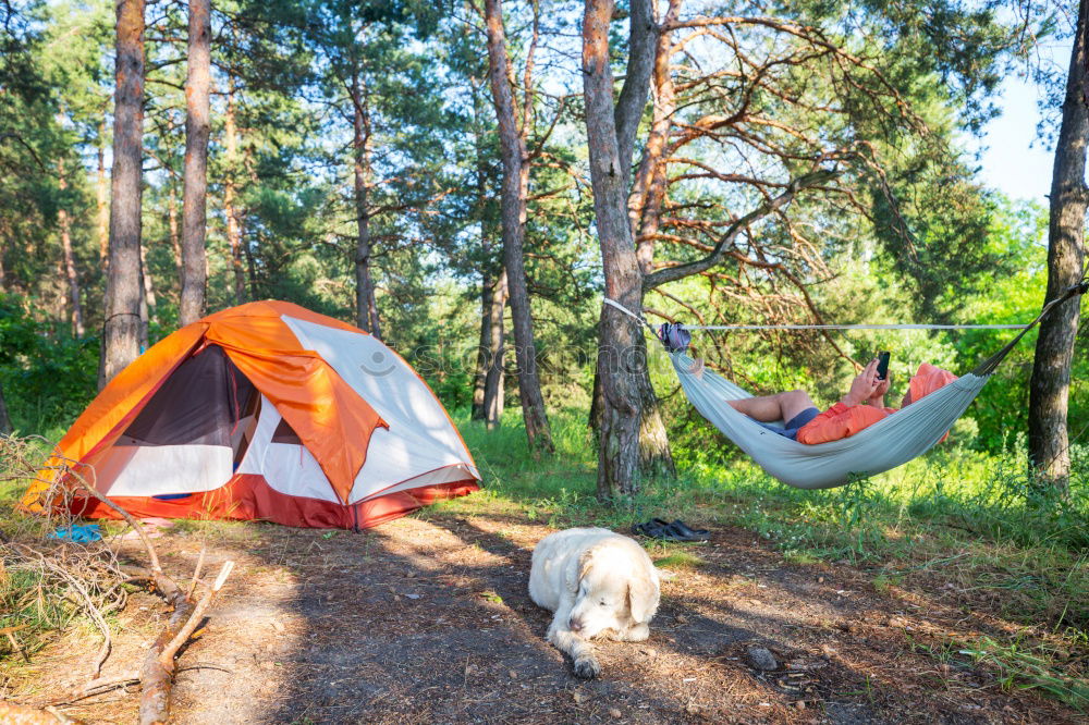 Similar – Orange tent in a pine forest