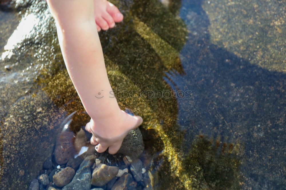 Similar – barefoot sandpiper Joy