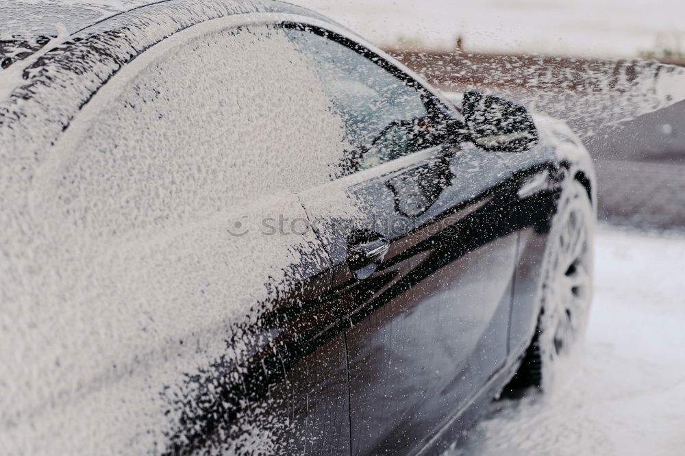 Similar – Image, Stock Photo frosty morning in March…