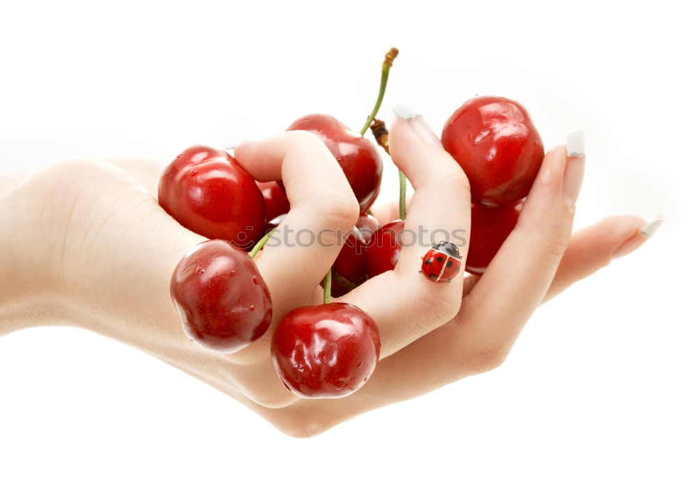 Similar – Image, Stock Photo cherry harvest Food Fruit