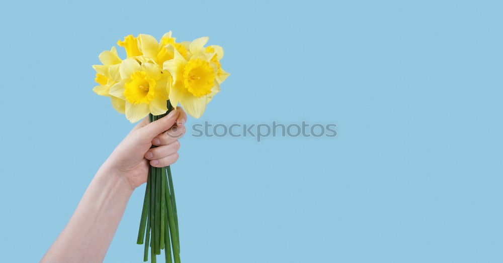 Similar – Image, Stock Photo Like a flower Lifestyle
