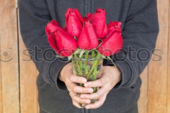 Similar – red roses for Valentine’s Day