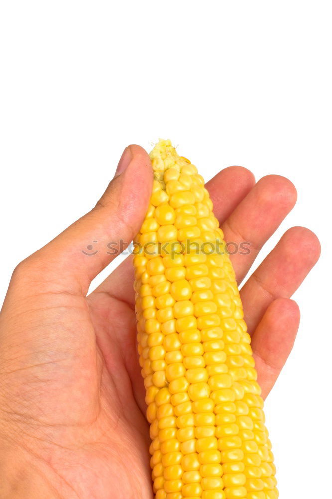 Similar – Image, Stock Photo poppcorn Piston Corn cob