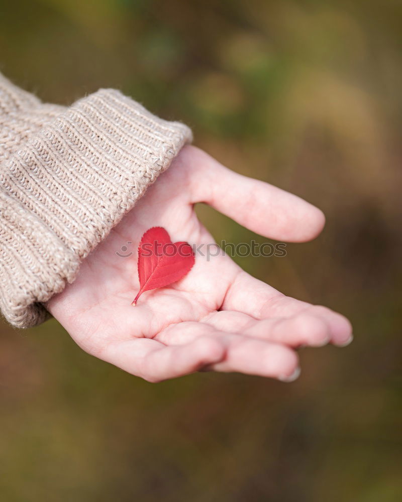 Similar – Image, Stock Photo Hands in gloves and white heart