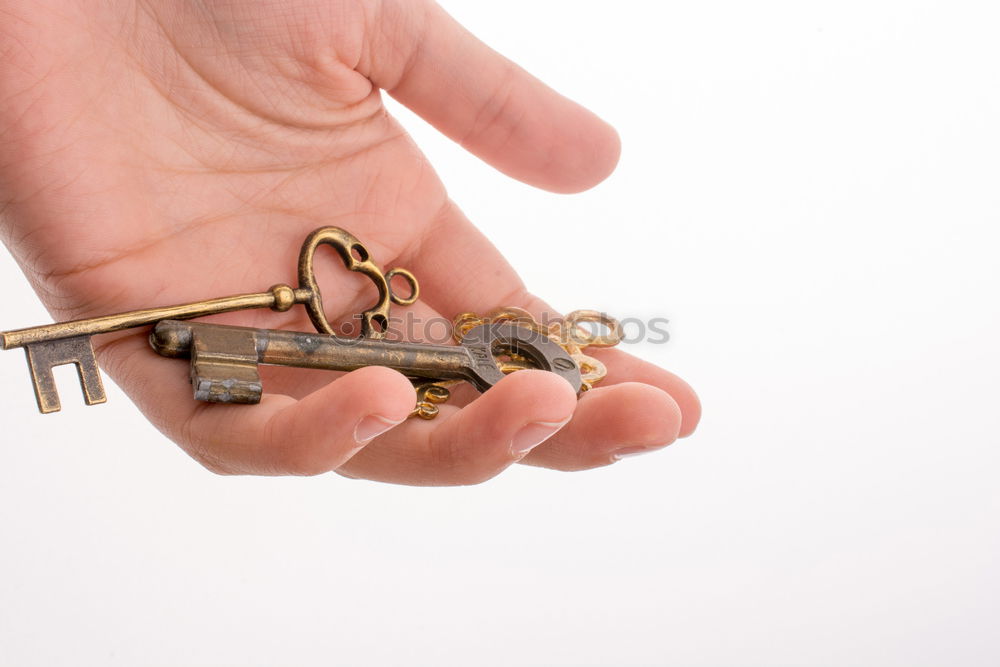 Similar – Image, Stock Photo bunch of keys