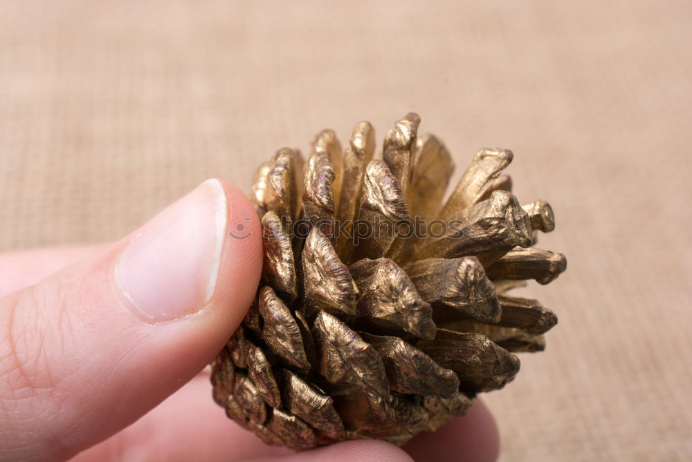 Similar – Image, Stock Photo Hand full of FALSCH gold jewellery