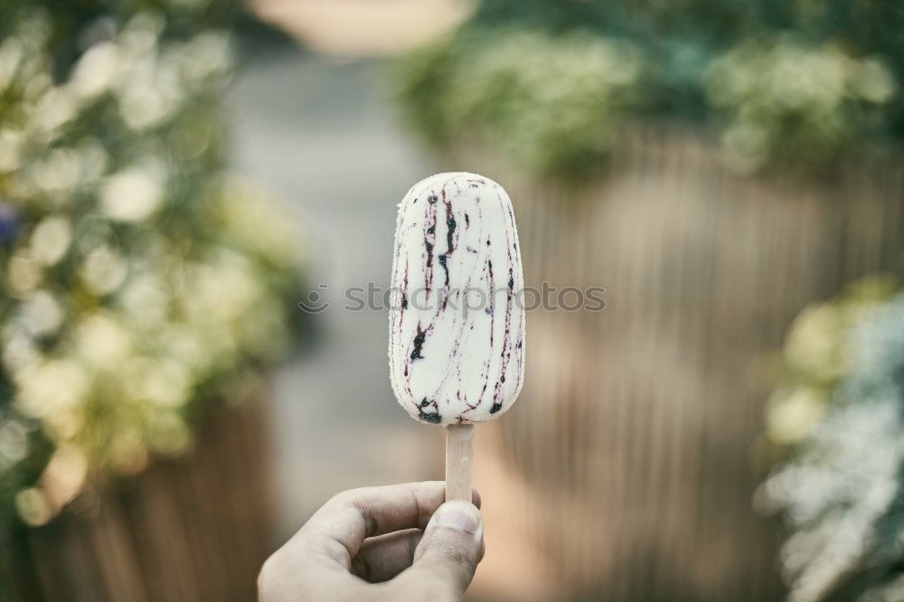 Similar – Image, Stock Photo ICE TIME III Food Dessert