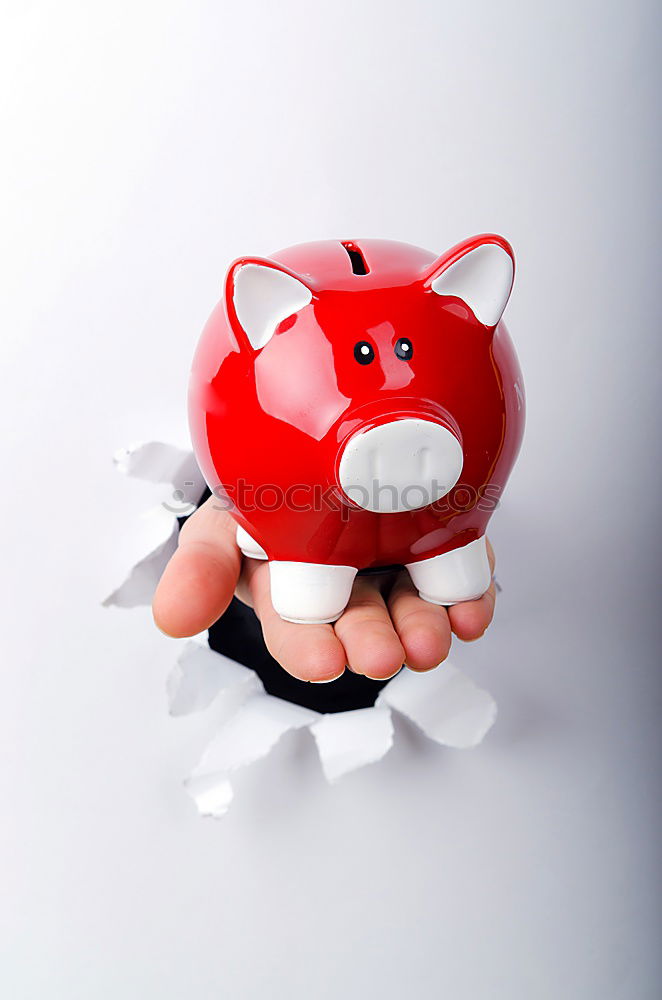 Similar – Red piggy bank Lifestyle