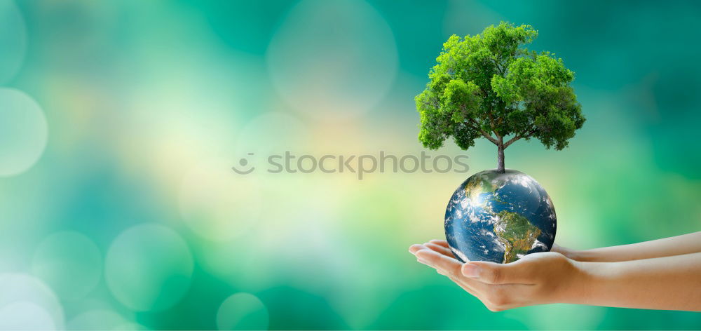 Similar – Image, Stock Photo Autumn Flowers Decoration Make