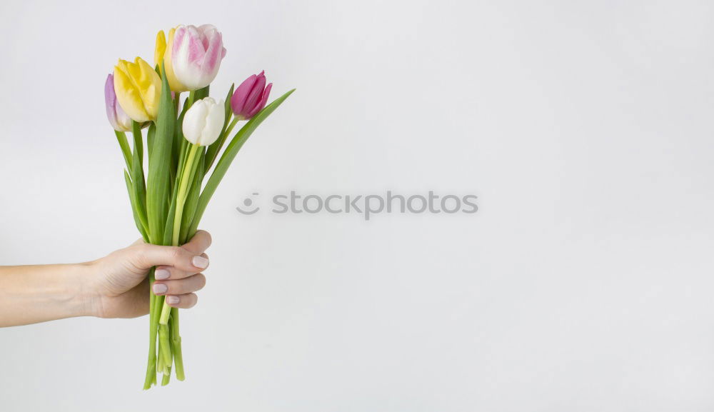 Similar – Image, Stock Photo suck it away.