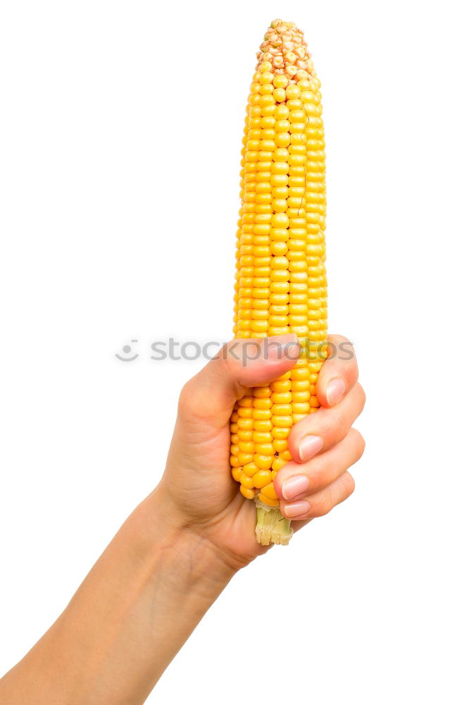 Similar – Image, Stock Photo poppcorn Piston Corn cob