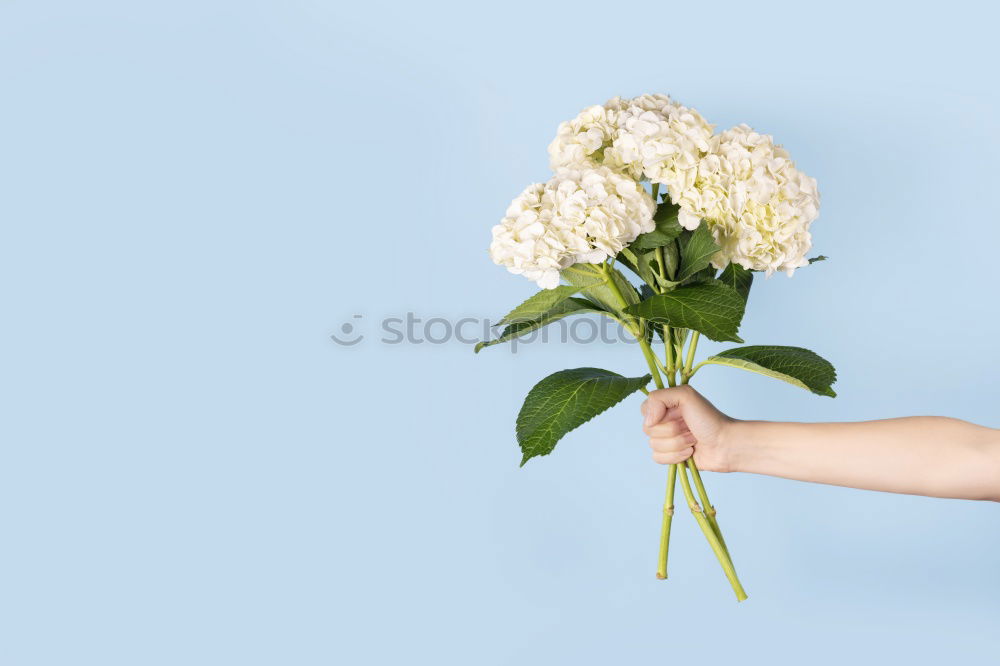 Similar – Image, Stock Photo Like a flower Lifestyle